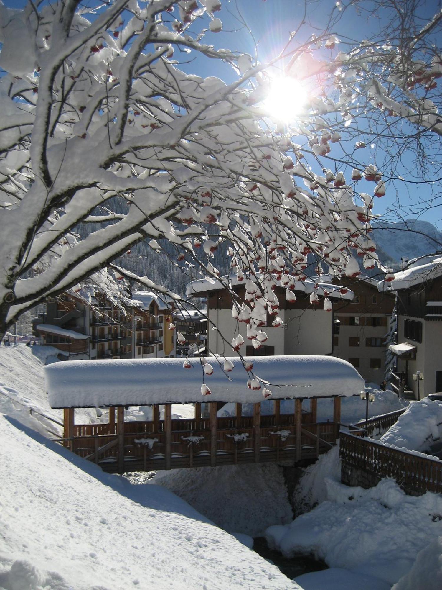 Hotel Garni Dello Sportivo Madonna di Campiglio Luaran gambar