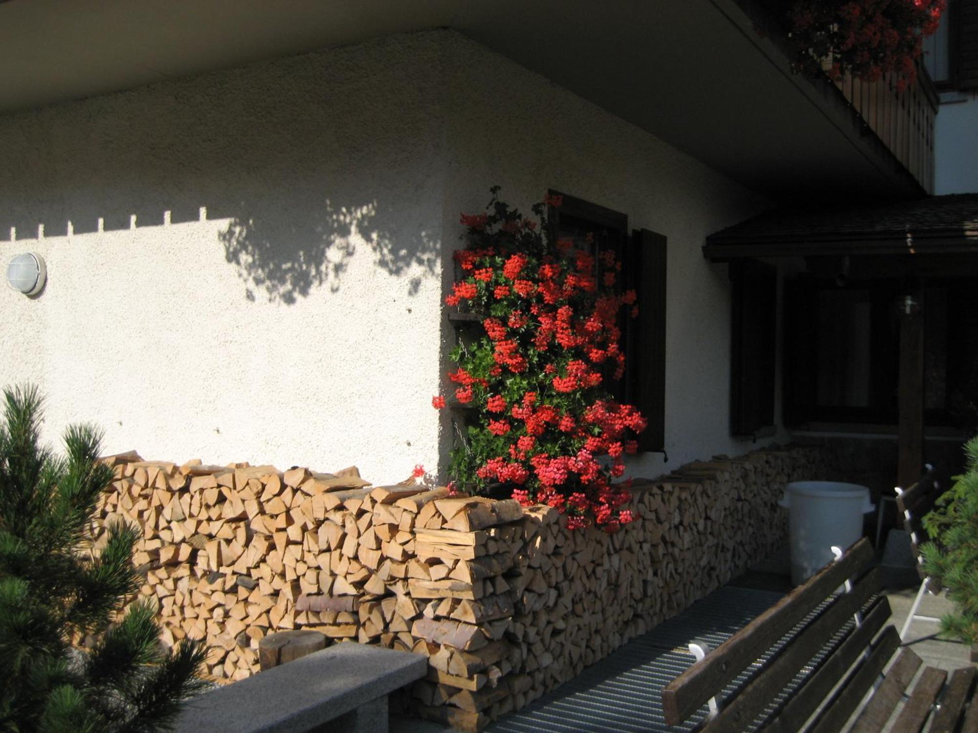 Hotel Garni Dello Sportivo Madonna di Campiglio Luaran gambar